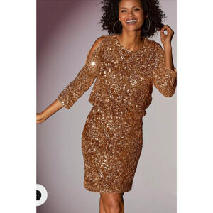 Boston Proper Gold Sequin Blouson Three Quarter Sleeve Dress Size 8